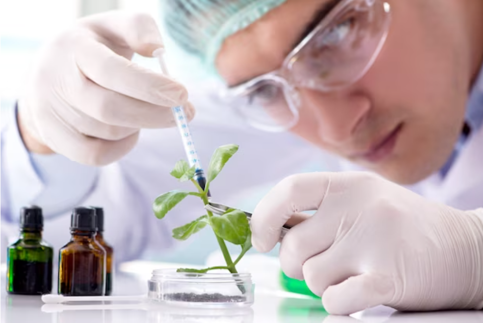 Screenshot 2023-12-08 154024