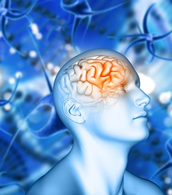 Screenshot 2023-12-12 152607